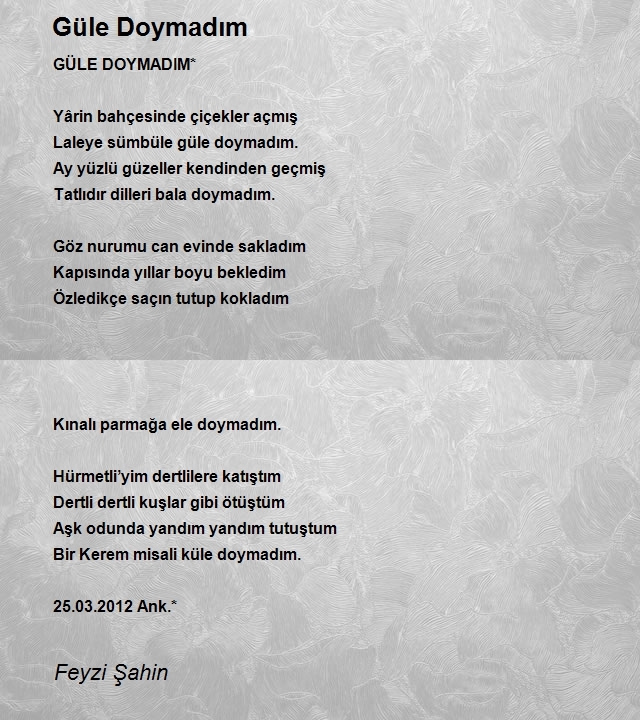 Ozan Hürmetli