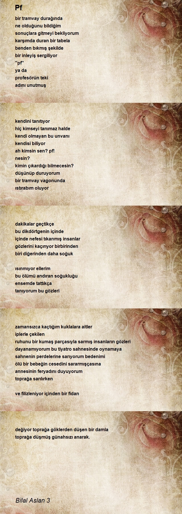 Bilal Aslan 3