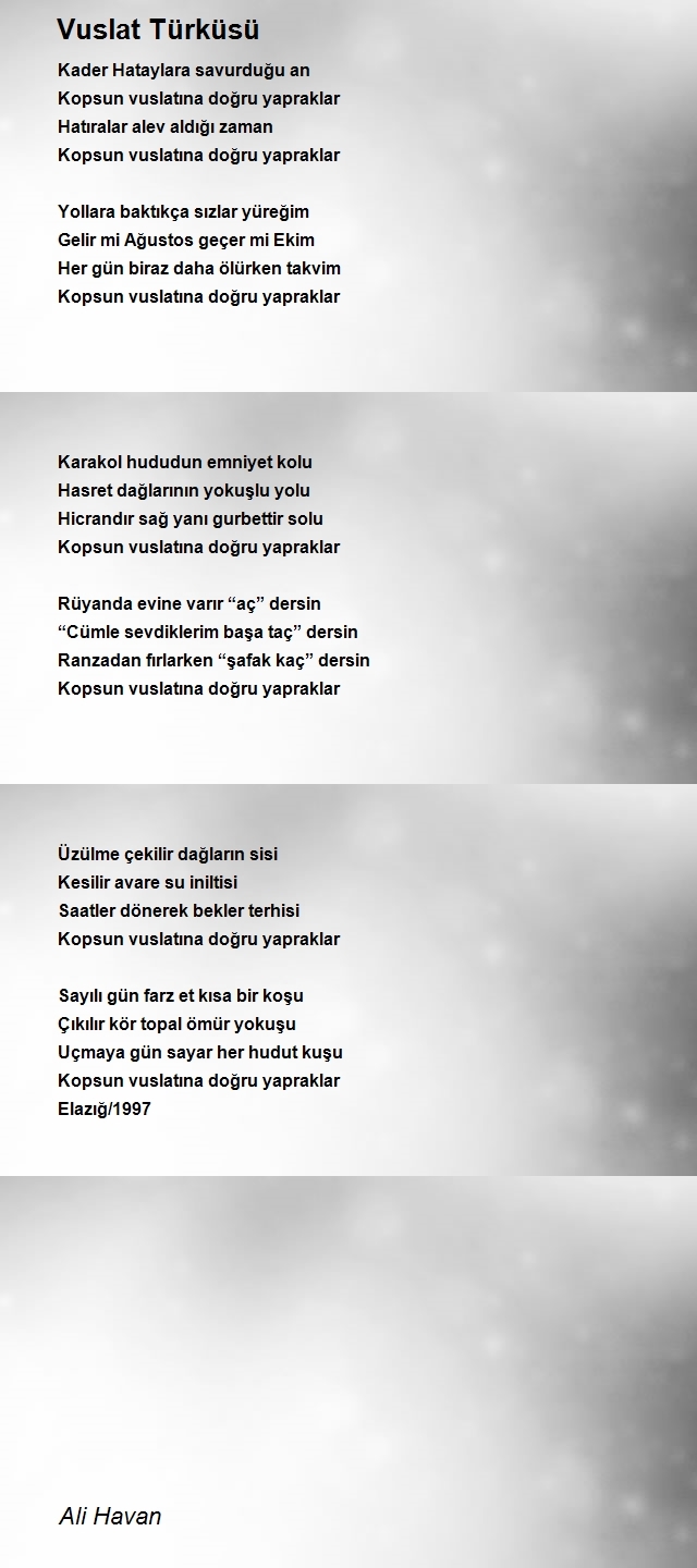 Ali Havan