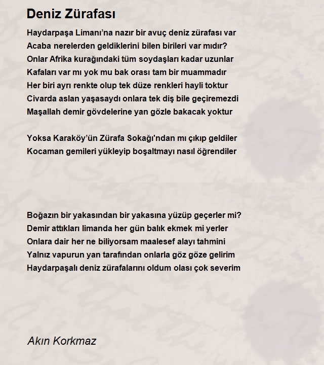 Akın Korkmaz