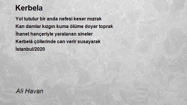 Ali Havan