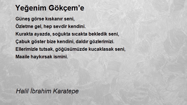 Halil İbrahim Karatepe