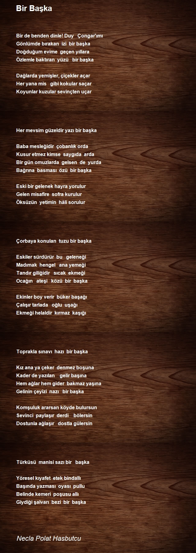 Necla Polat Hasbutcu