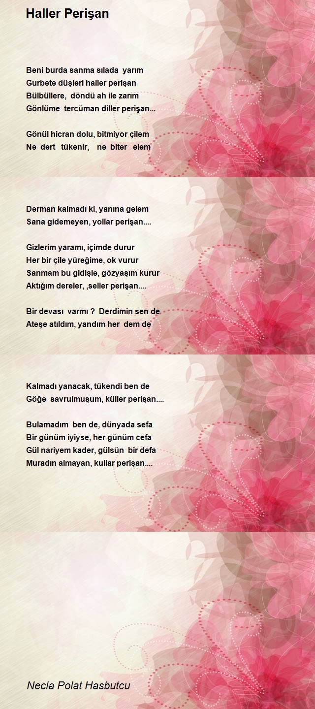 Necla Polat Hasbutcu
