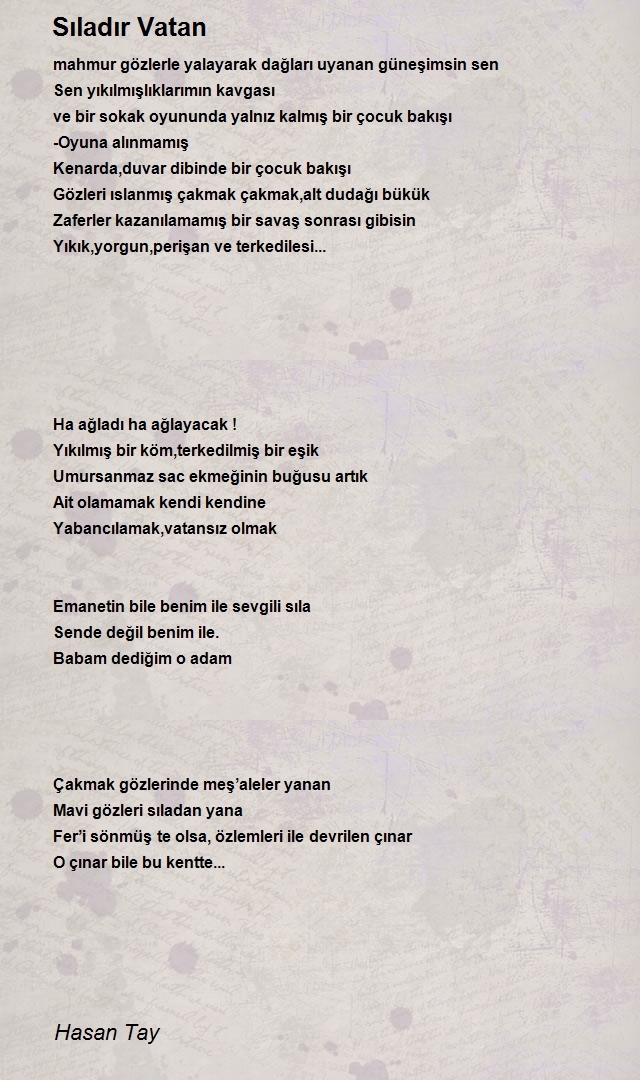 Hasan Tay