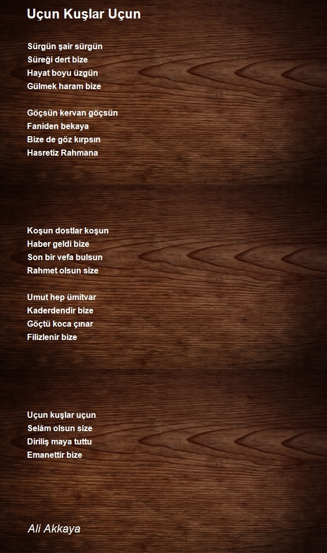 Ali Akkaya