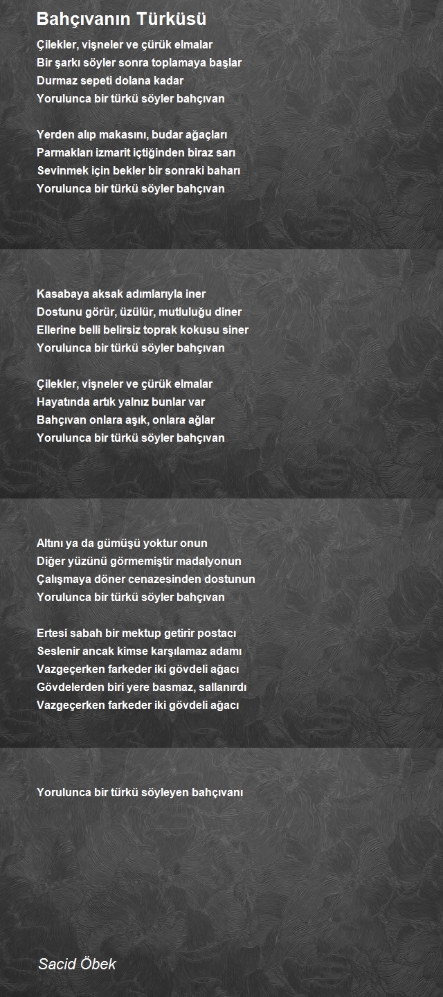 Sacid Öbek