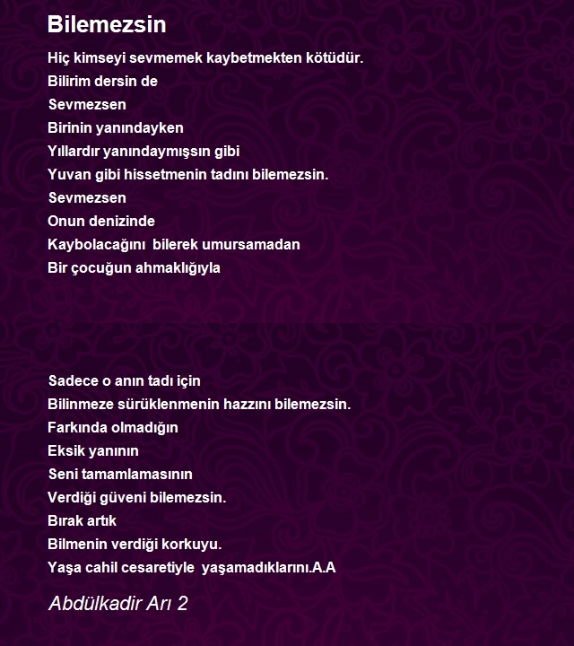 Abdülkadir Arı 2