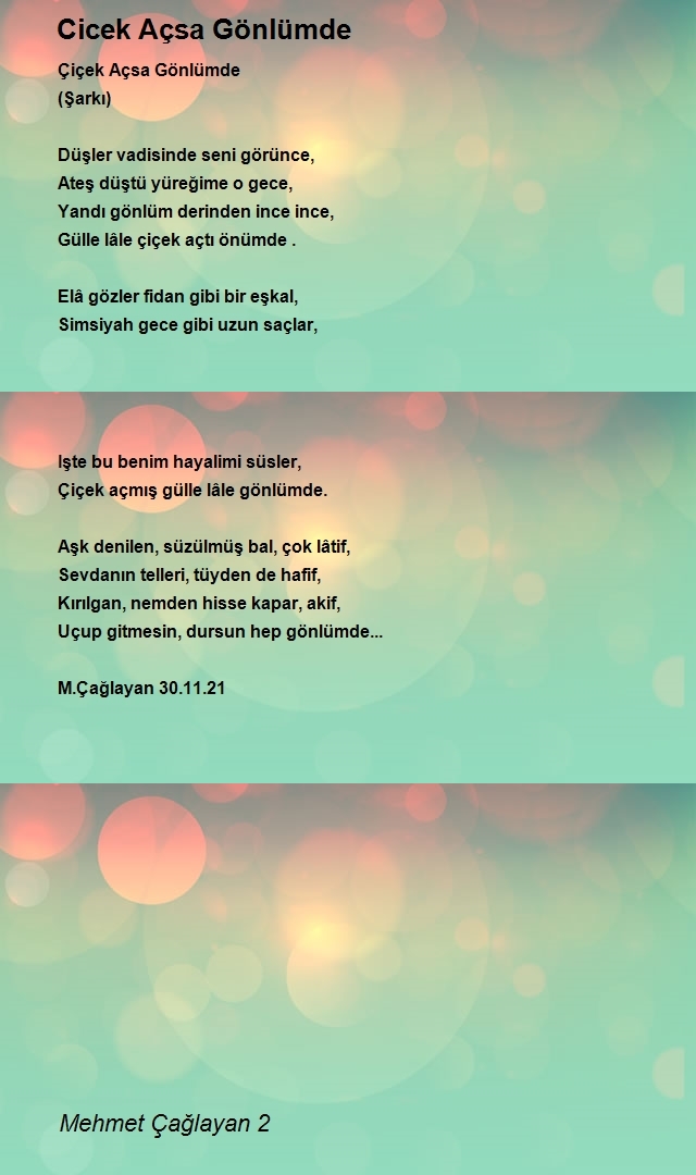 Mehmet Çağlayan 2