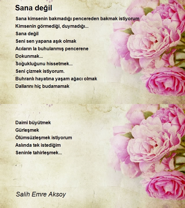 Salih Emre Aksoy