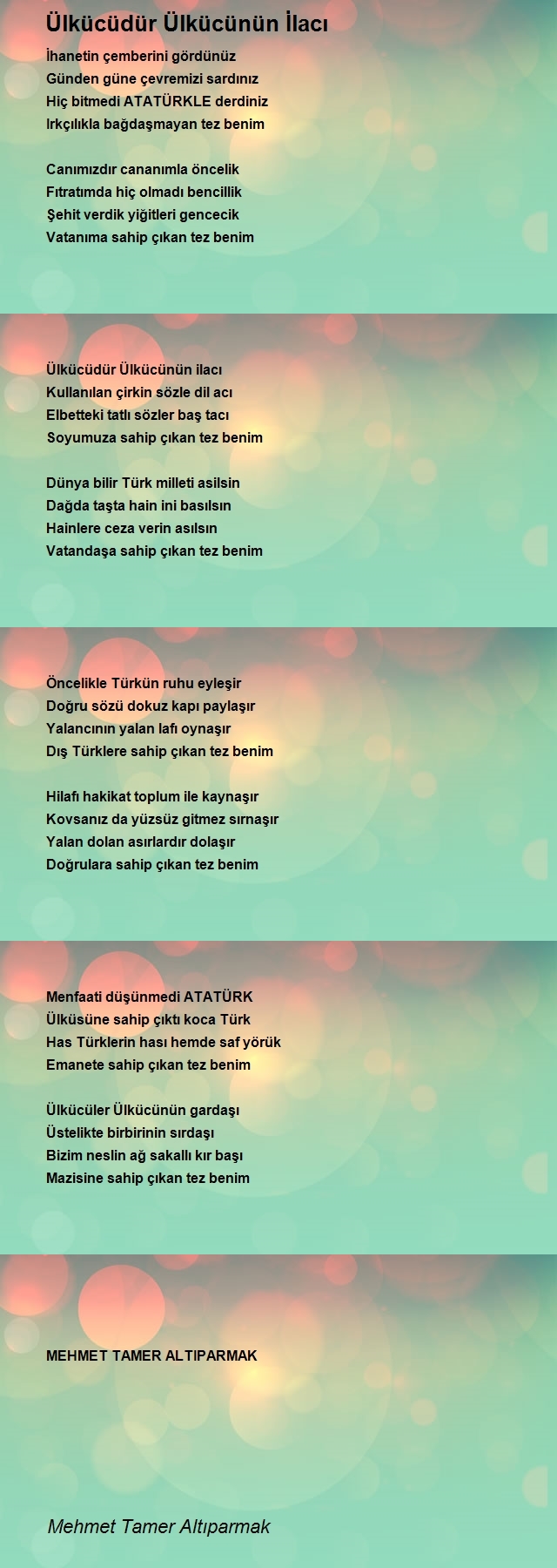 Mehmet Tamer Altıparmak