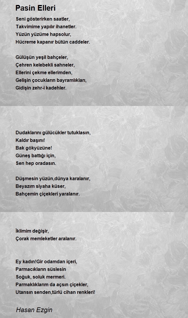 Hasan Ezgin