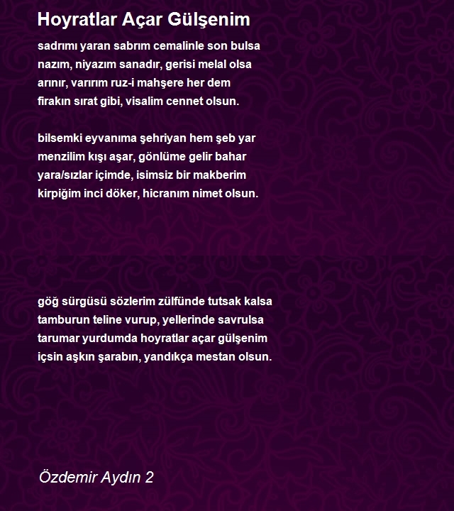Özdemir Aydın 2