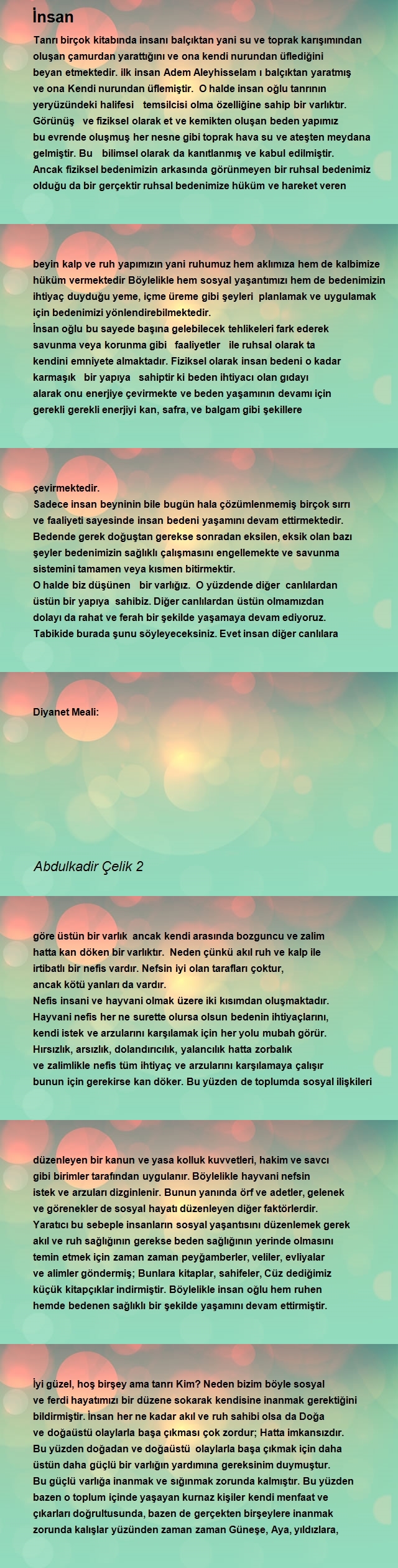 Abdulkadir Çelik 2