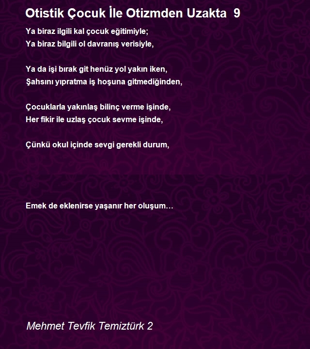 Mehmet Tevfik Temiztürk 2