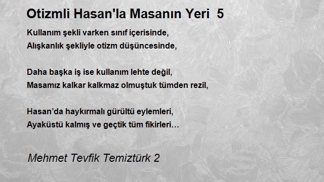 Mehmet Tevfik Temiztürk 2