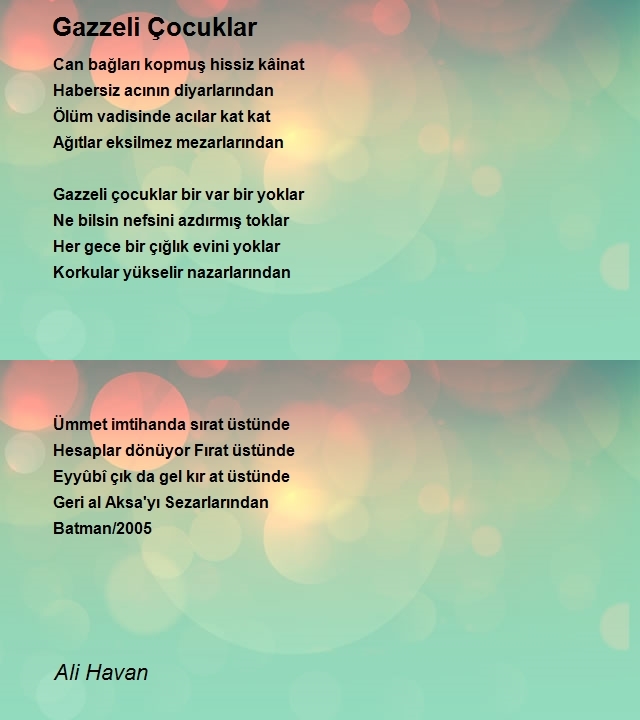 Ali Havan