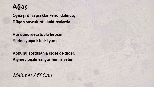 Mehmet Afif Can