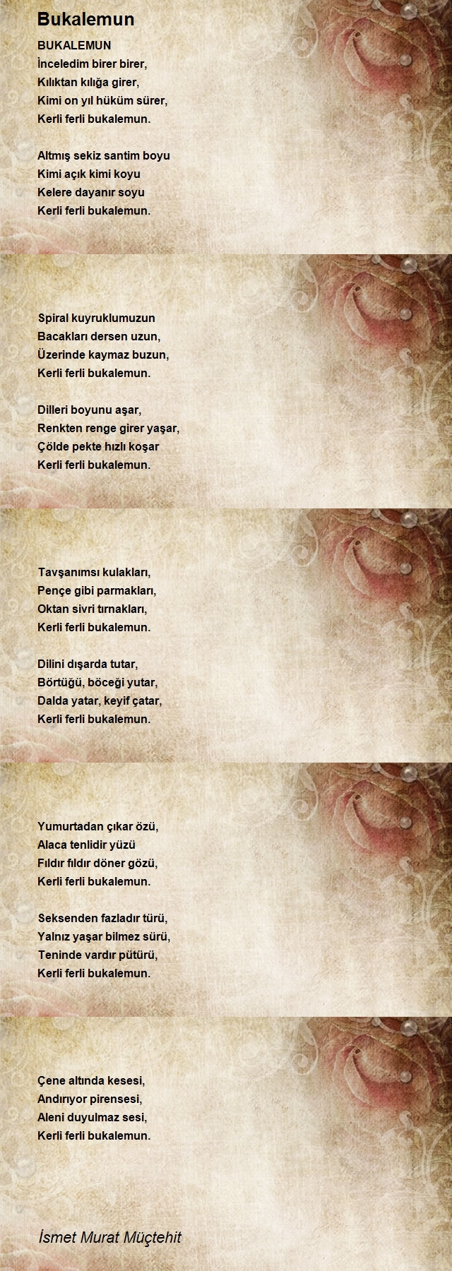 İsmet Murat