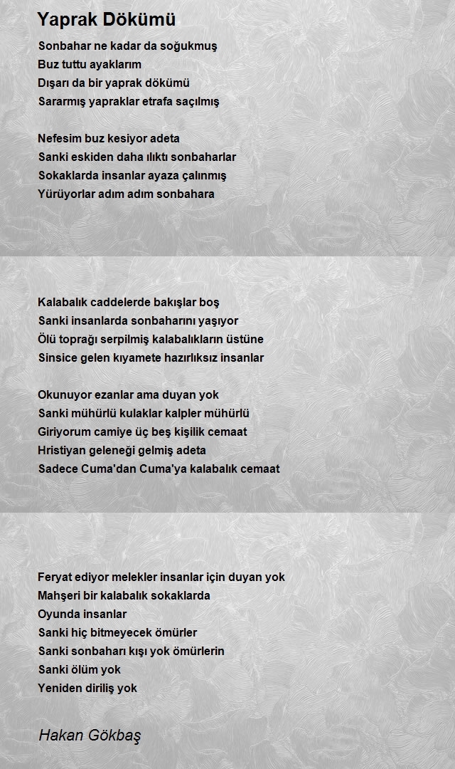 Hakan Gökbaş