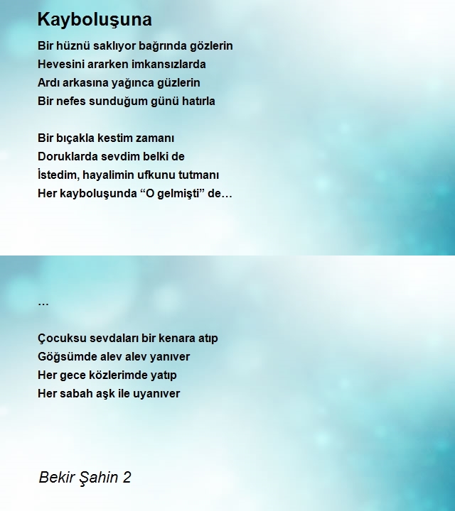 Bekir Şahin 2