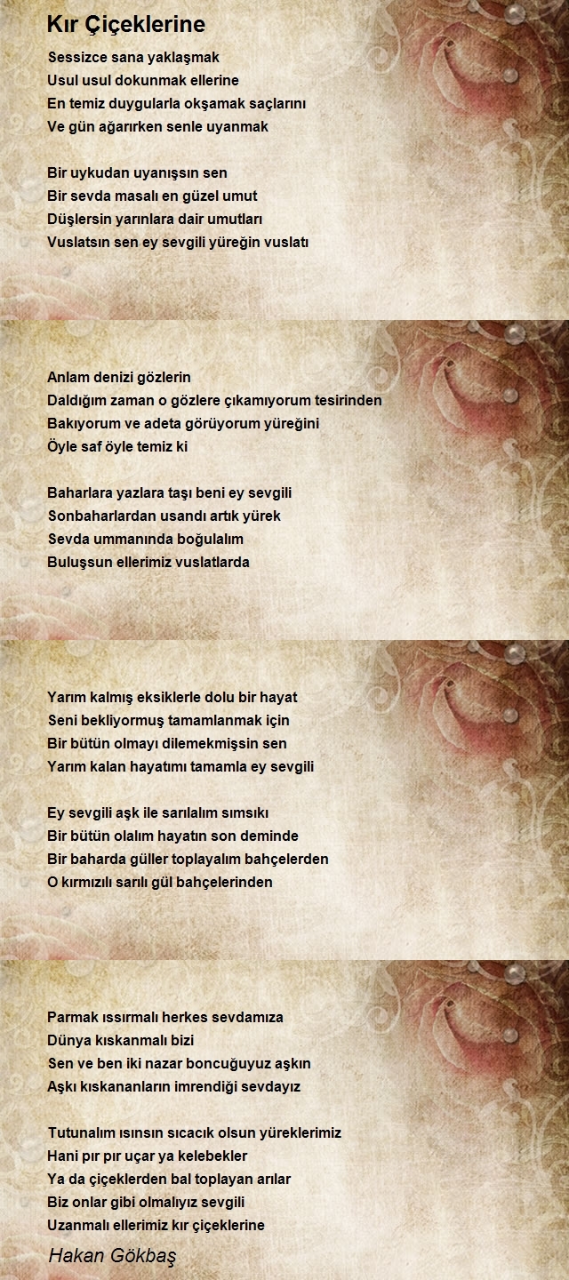 Hakan Gökbaş