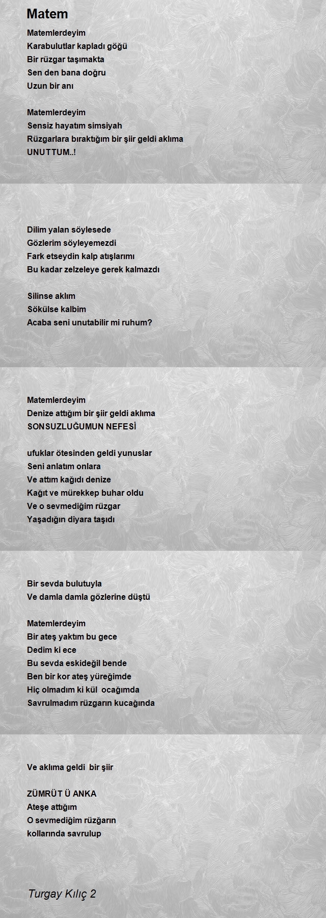 Turgay Kılıç 2