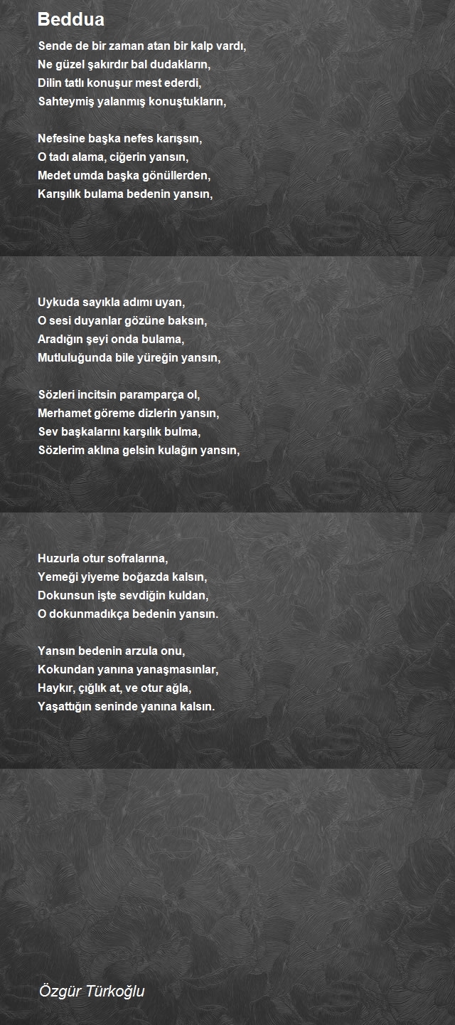 Özgür Türkoğlu