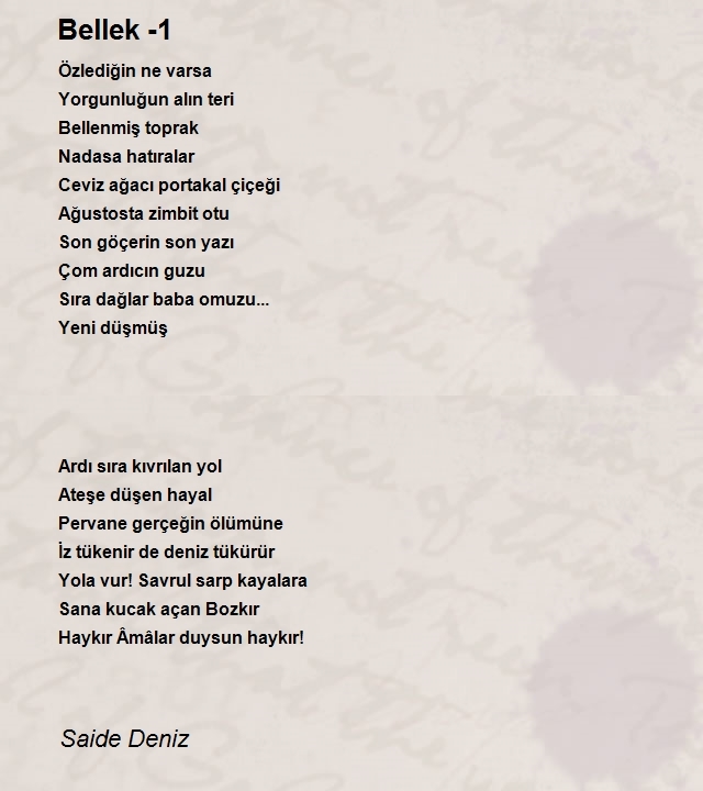 Saide Deniz