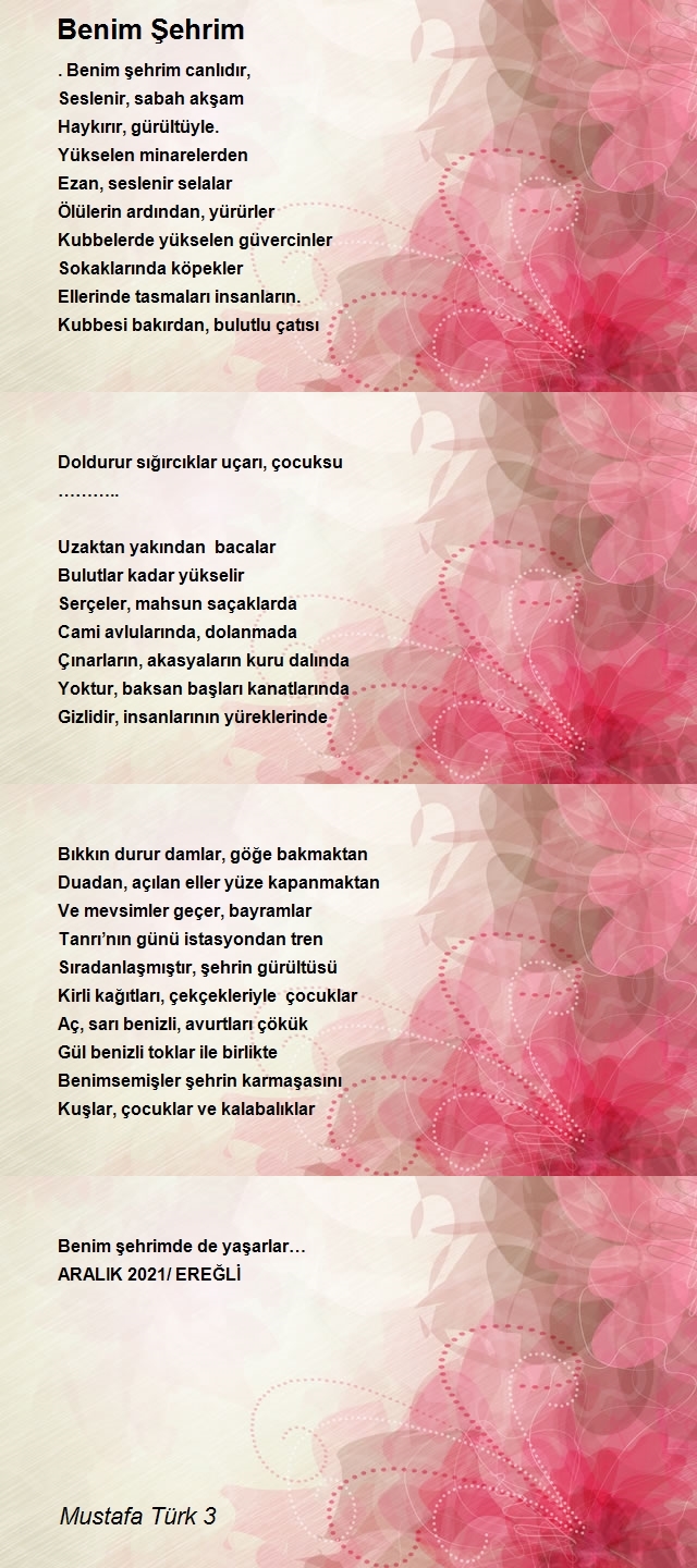 Mustafa Türk 3