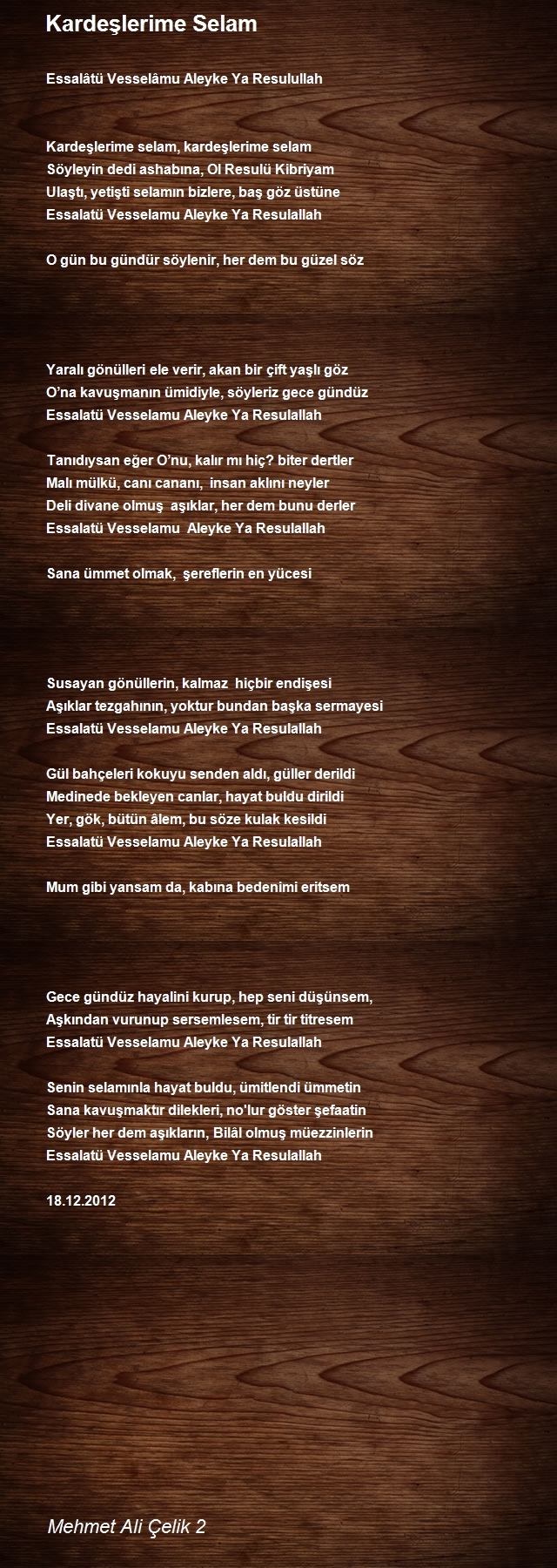Mehmet Ali Çelik 2