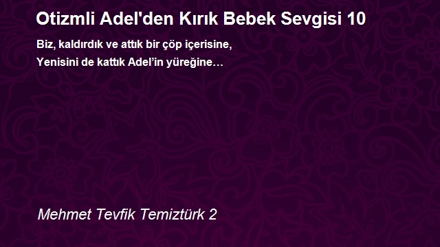 Mehmet Tevfik Temiztürk 2