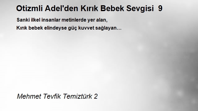 Mehmet Tevfik Temiztürk 2