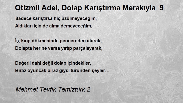 Mehmet Tevfik Temiztürk 2