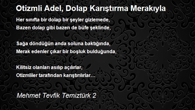 Mehmet Tevfik Temiztürk 2