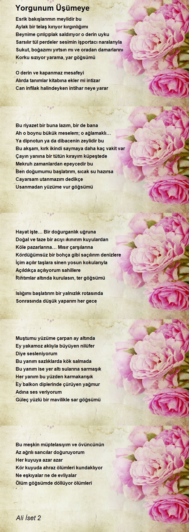 Ali İset 2