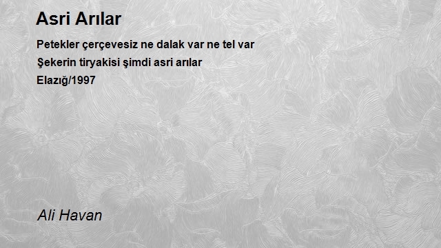 Ali Havan