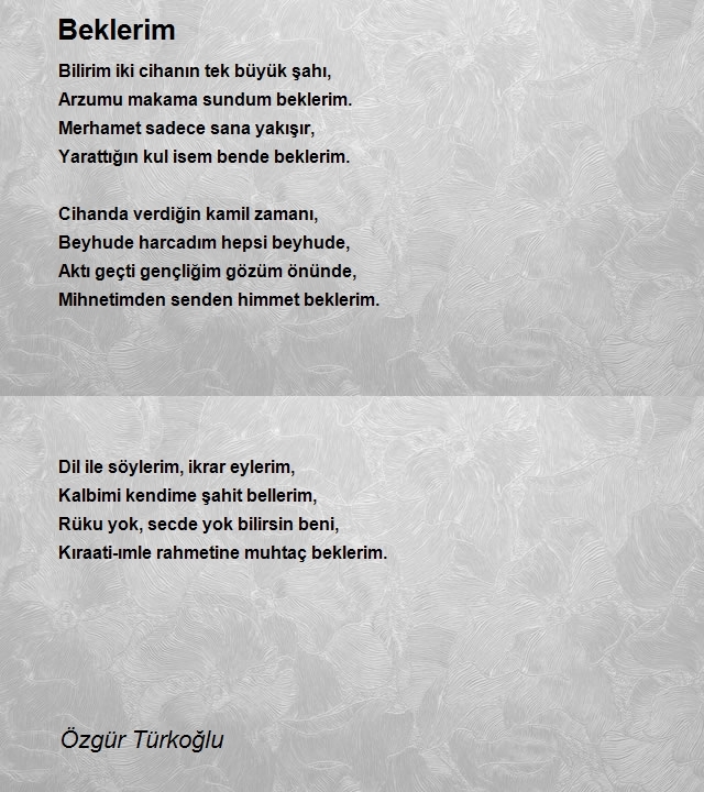 Özgür Türkoğlu