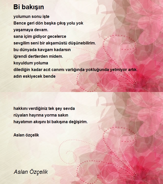 Aslan Özçelik