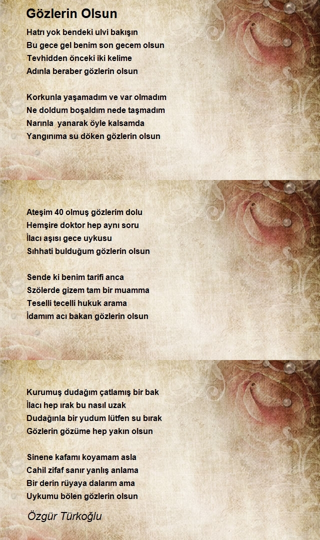 Özgür Türkoğlu
