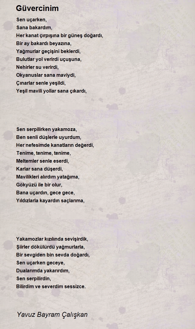 Yavuz Bayram Çalışkan