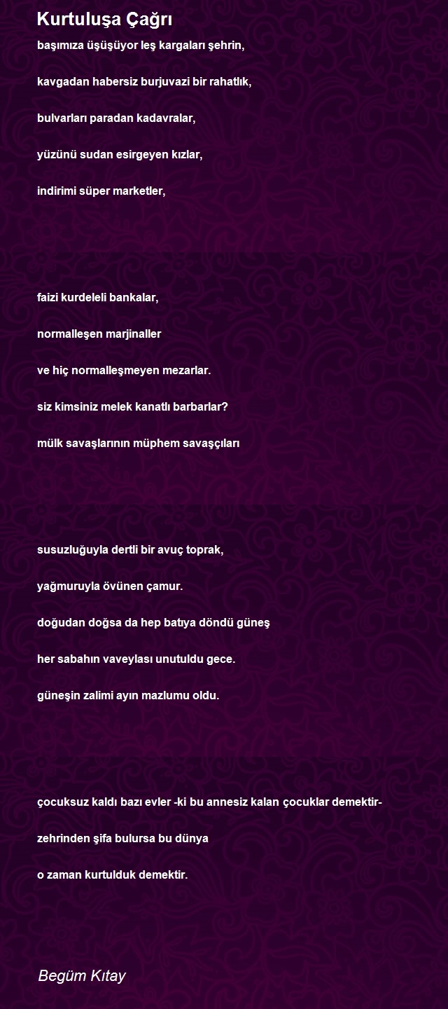 Begüm Kıtay