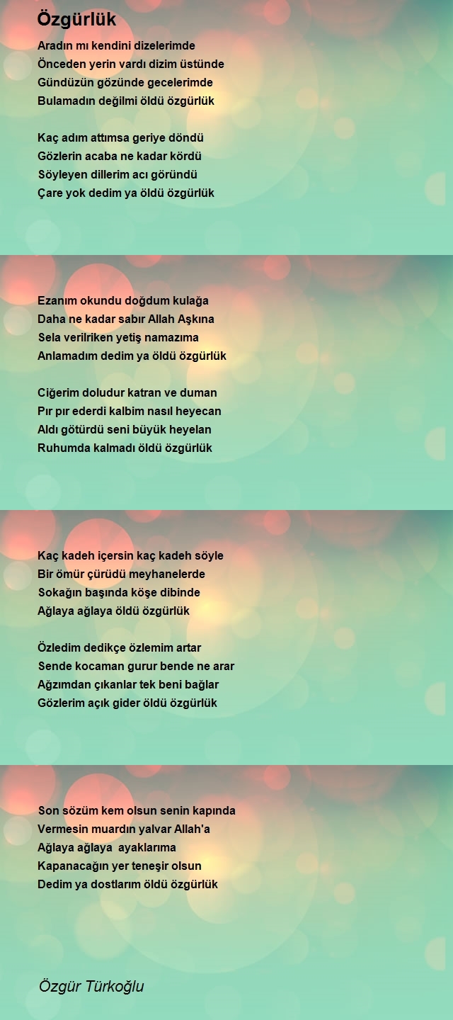 Özgür Türkoğlu