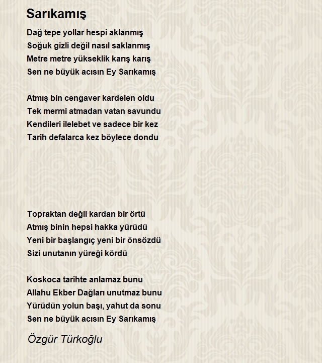 Özgür Türkoğlu