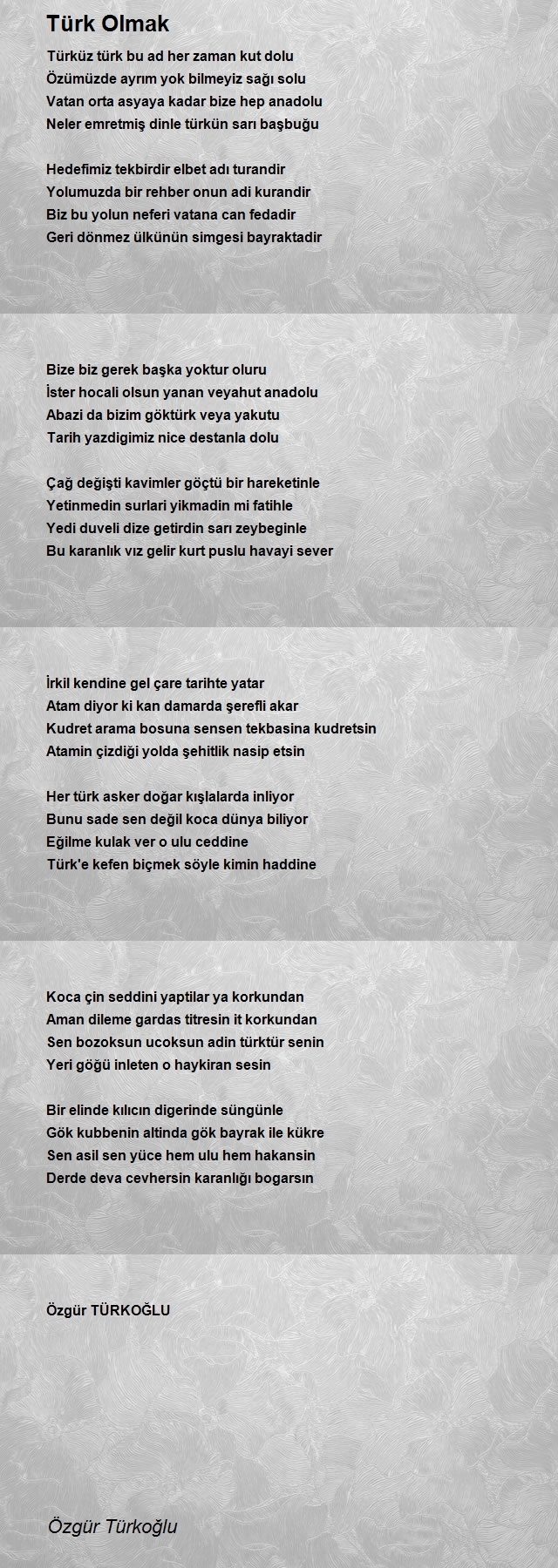 Özgür Türkoğlu