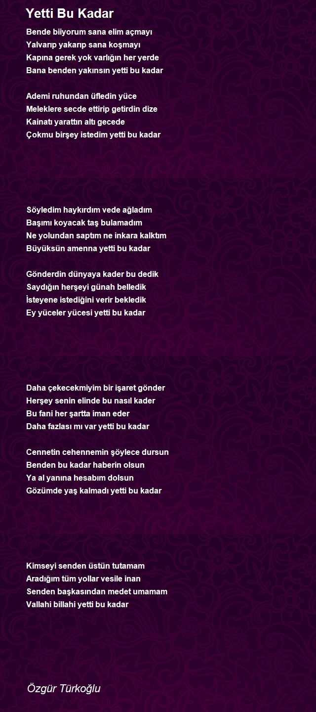 Özgür Türkoğlu