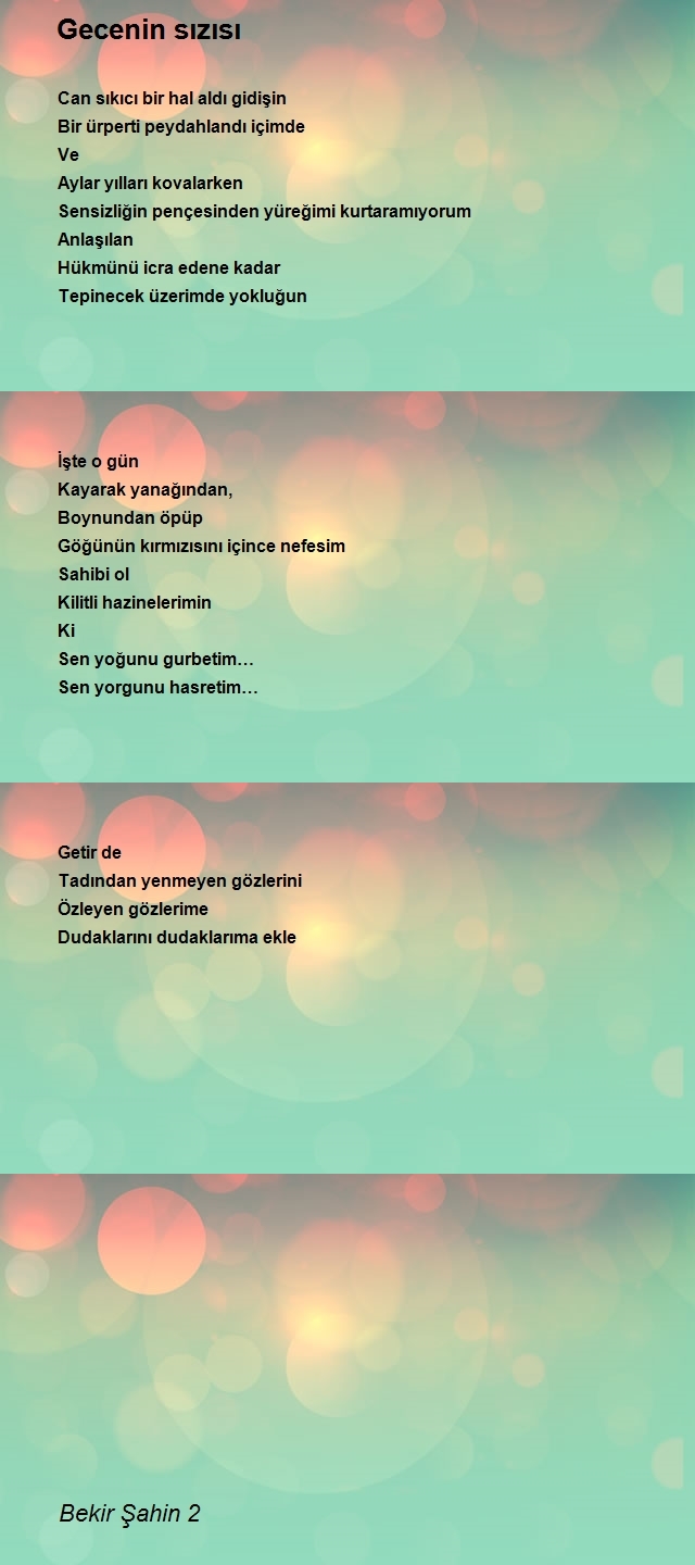 Bekir Şahin 2
