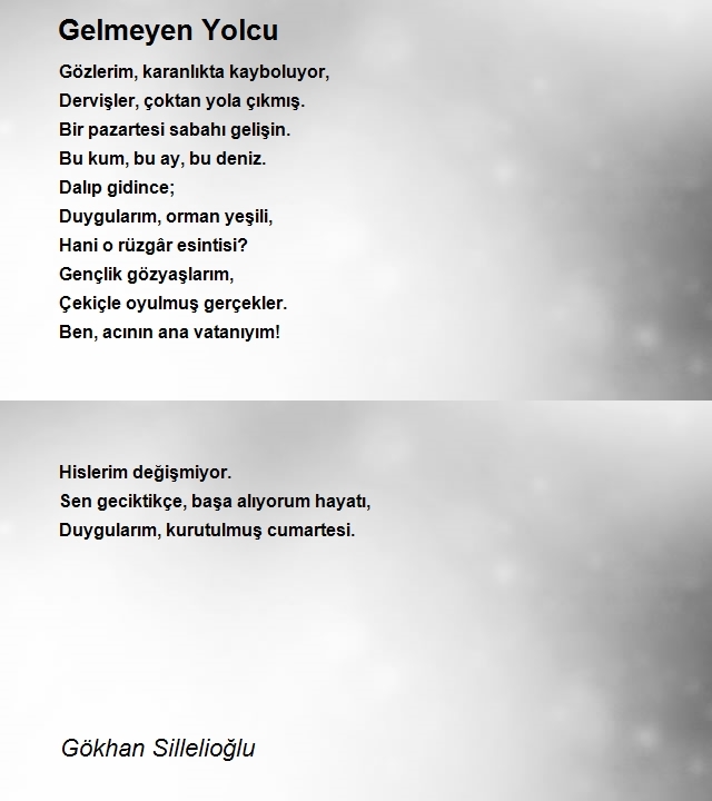 Gökhan Sillelioğlu
