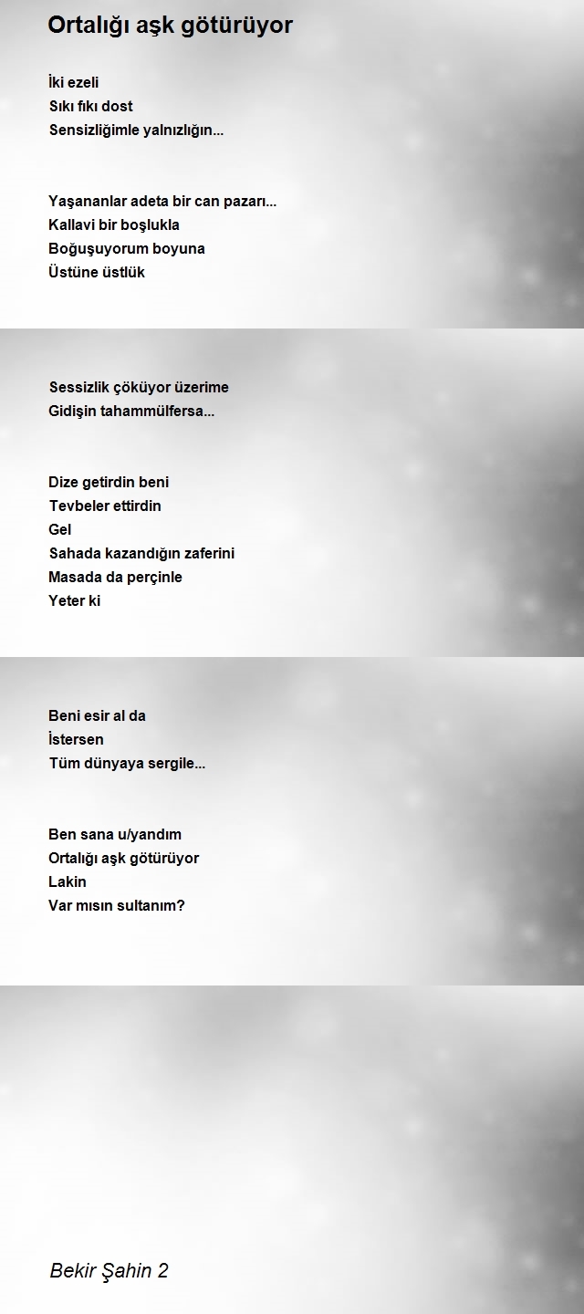Bekir Şahin 2