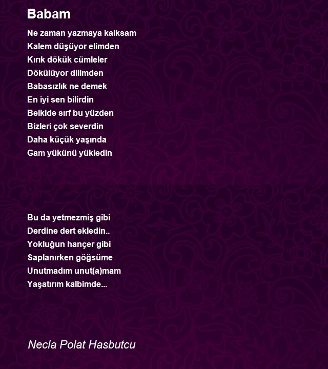 Necla Polat Hasbutcu